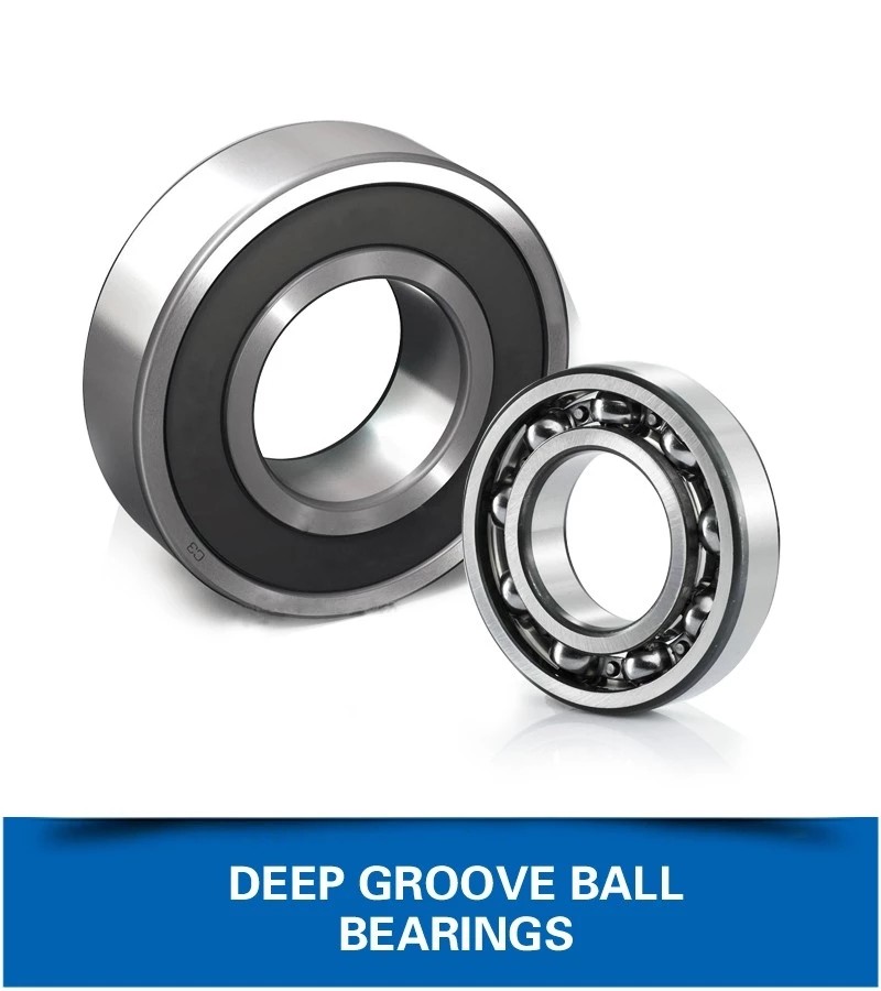 Bearings Ball 316 Stainless Steel Double Row Open, china